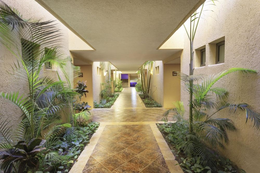 Hotel Los Patios Cabo San Lucas Luaran gambar